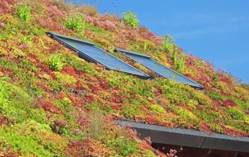 Norton Le Clay living roof systems