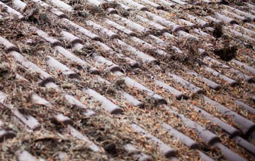 Norton Le Clay roof cleaning companies